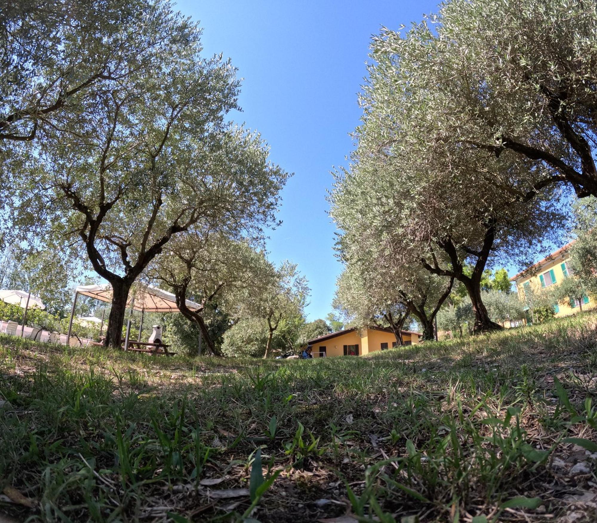 Agriturismo Gardenali Volta Mantovana Pokój zdjęcie