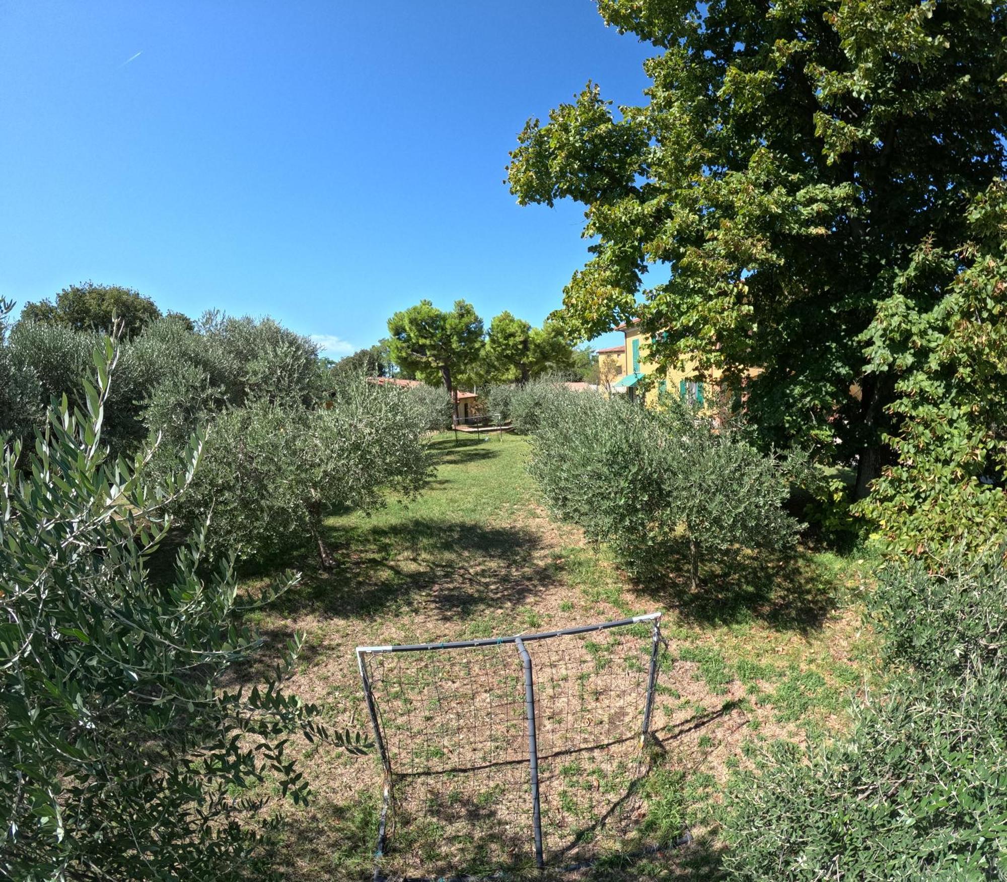 Agriturismo Gardenali Volta Mantovana Zewnętrze zdjęcie