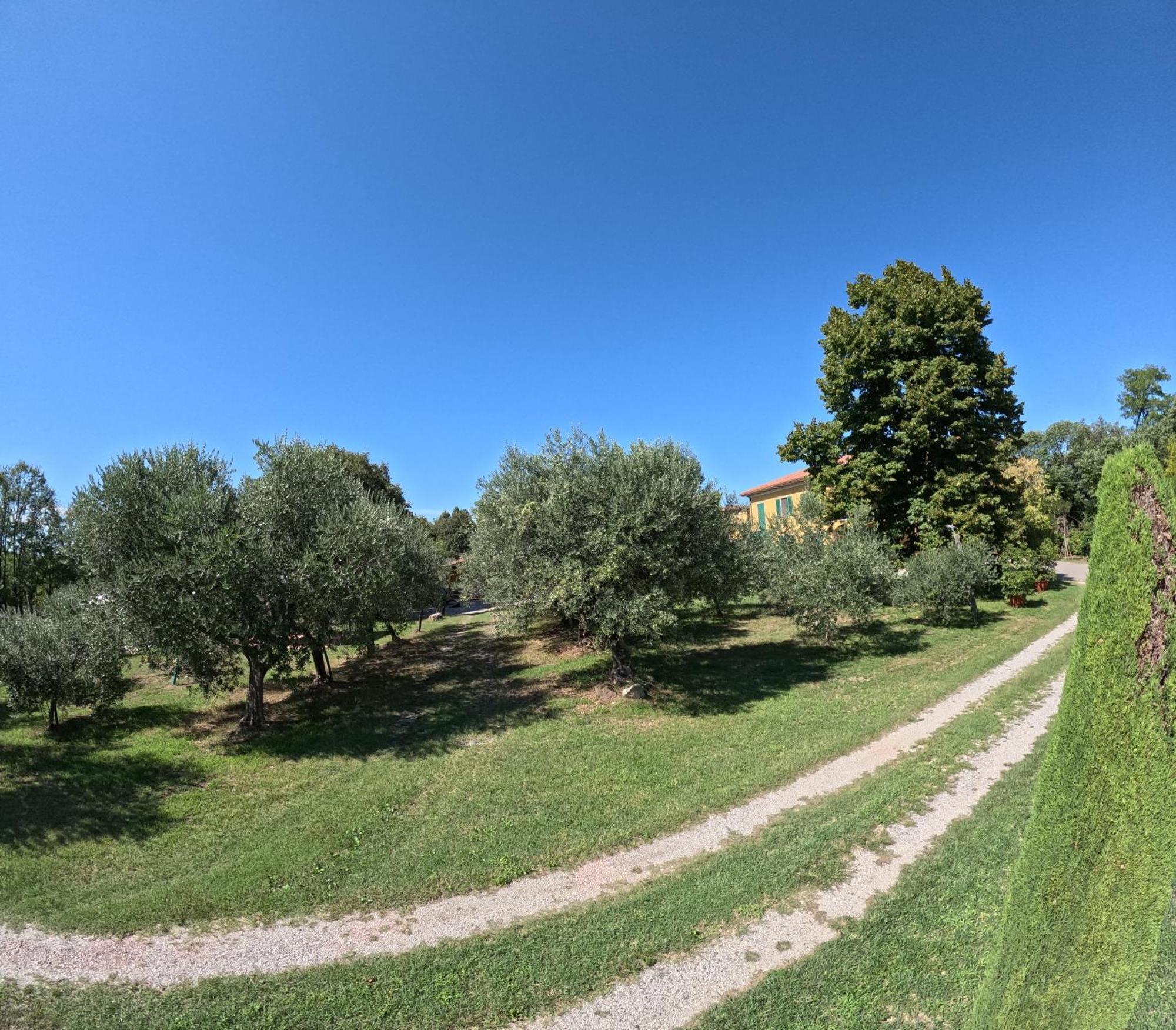 Agriturismo Gardenali Volta Mantovana Zewnętrze zdjęcie