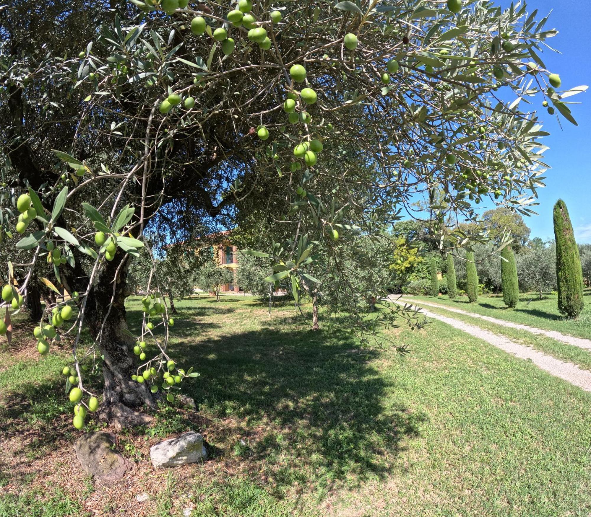 Agriturismo Gardenali Volta Mantovana Zewnętrze zdjęcie
