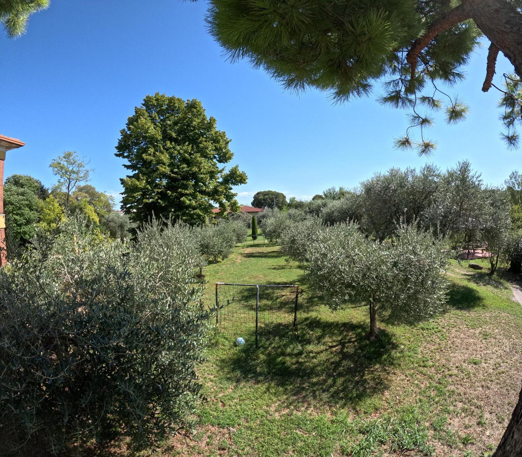 Agriturismo Gardenali Volta Mantovana Zewnętrze zdjęcie
