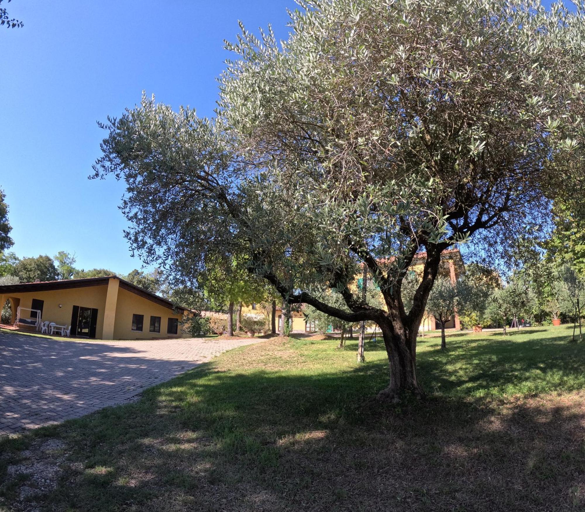 Agriturismo Gardenali Volta Mantovana Zewnętrze zdjęcie