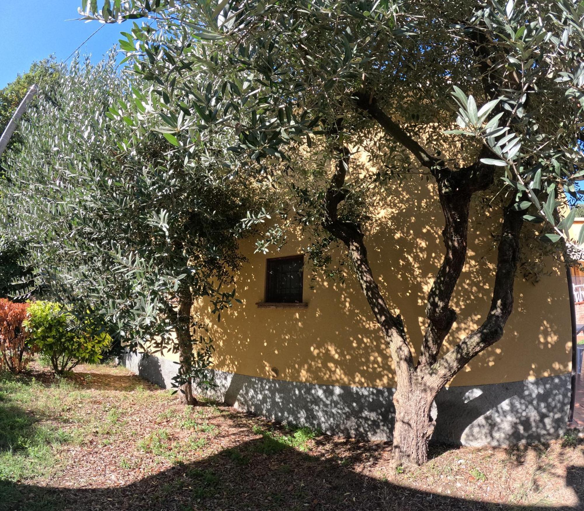 Agriturismo Gardenali Volta Mantovana Zewnętrze zdjęcie