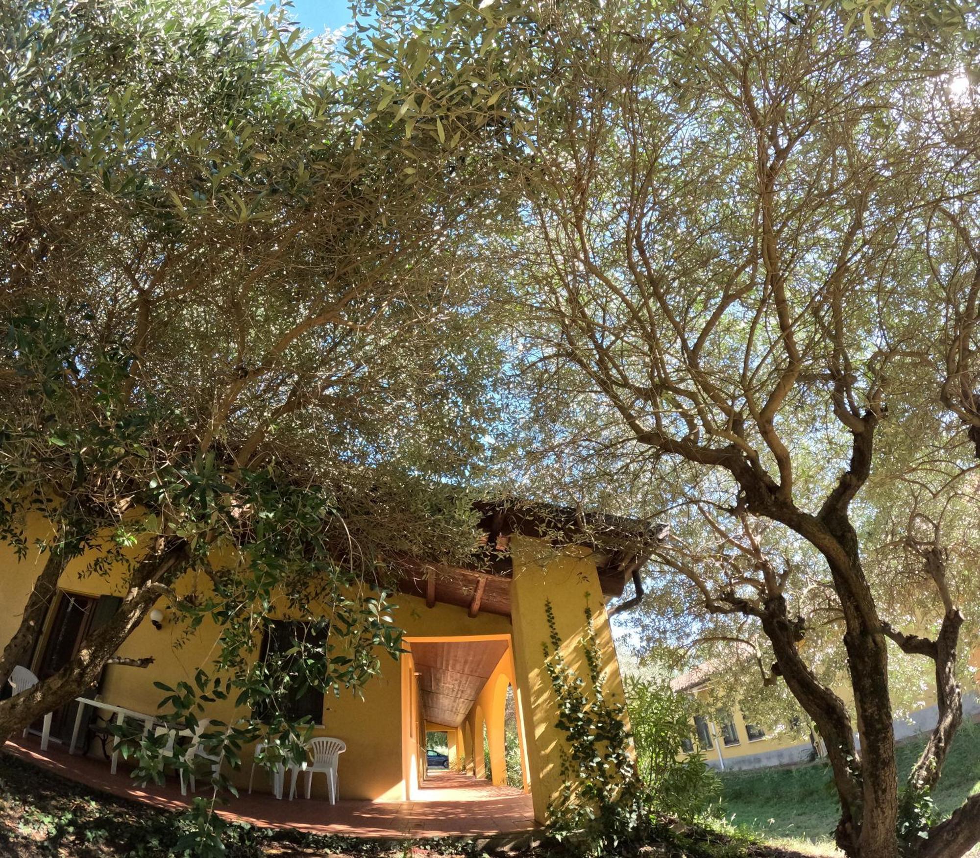 Agriturismo Gardenali Volta Mantovana Zewnętrze zdjęcie