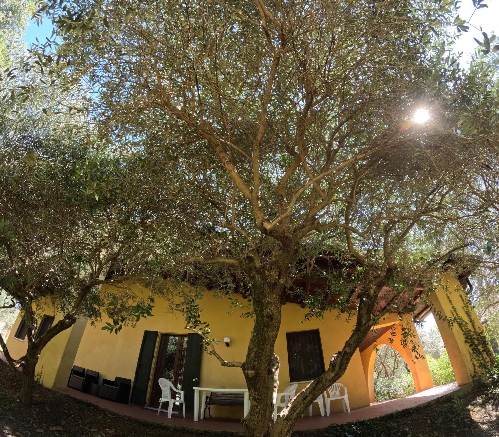 Agriturismo Gardenali Volta Mantovana Pokój zdjęcie